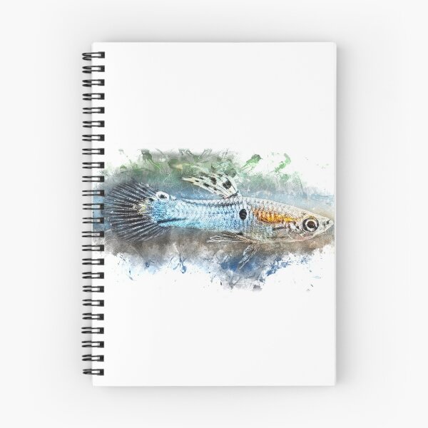 Item preview, Endler Guppy Blue - Poecilia wingei designed and sold by AquariumLutter.
