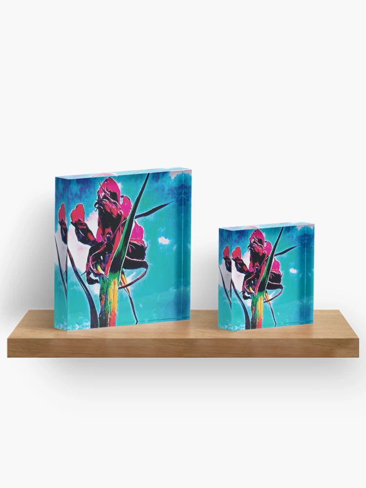 Thumbnail 3 of 5, Acrylic Block, Gymea designed and sold by RandaRubyRed.