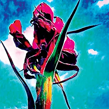 Imagen de la obra Gymea de RandaRubyRed