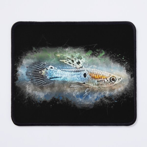 Item preview, Endler Guppy Blue - Poecilia wingei designed and sold by AquariumLutter.