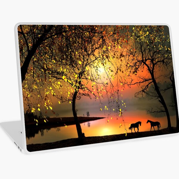 At The Sunset Laptop Skin