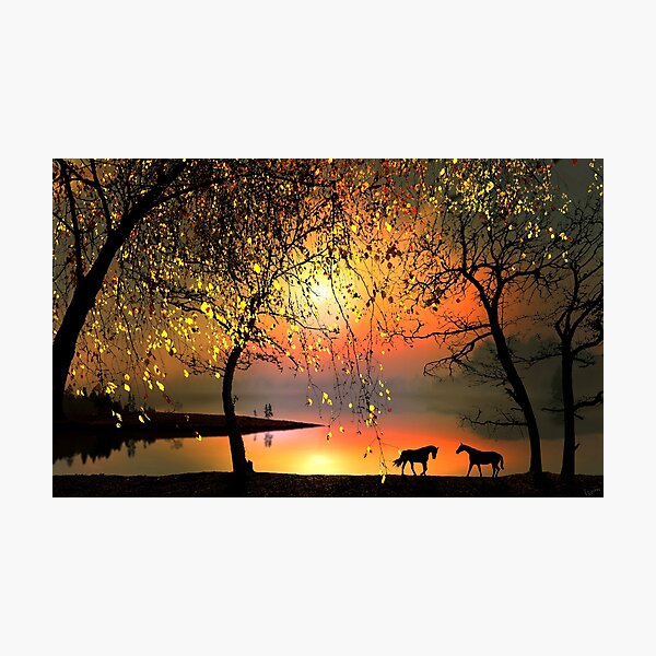 At The Sunset Photographic Print