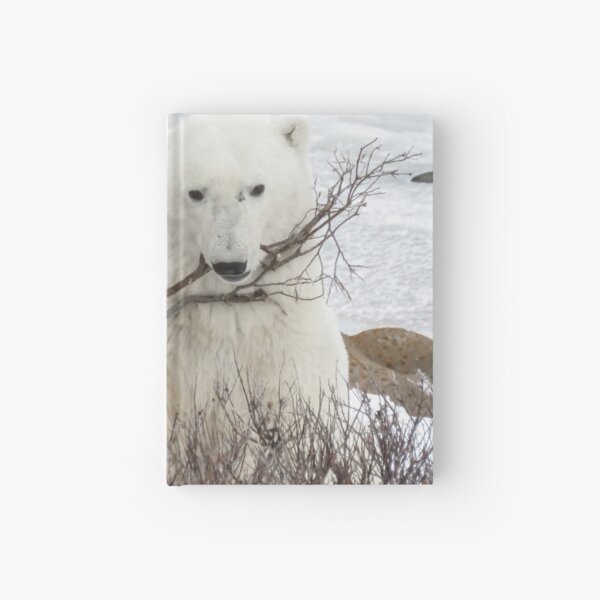 Boy, I'd like a real toy! Hardcover Journal