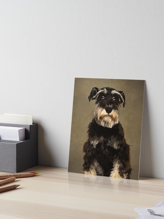 Happy Schnauzer Dog Portrait sold 11x14 Oil Painting