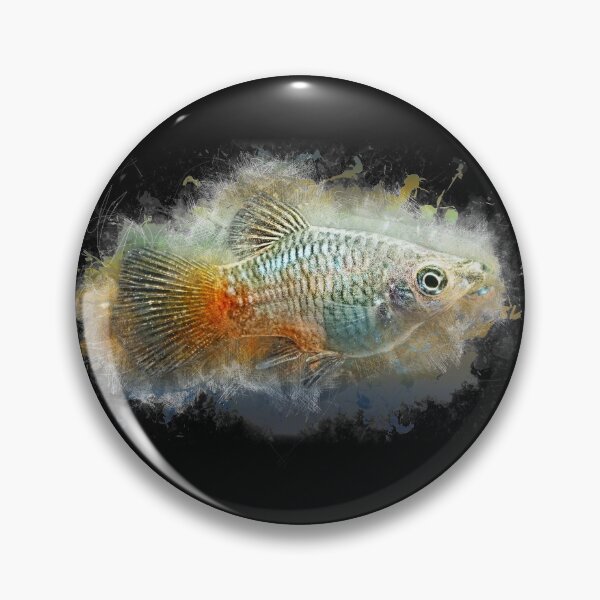 Item preview, Blue Platy - Xiphophorus maculatus designed and sold by AquariumLutter.