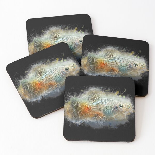 Item preview, Blue Platy - Xiphophorus maculatus designed and sold by AquariumLutter.