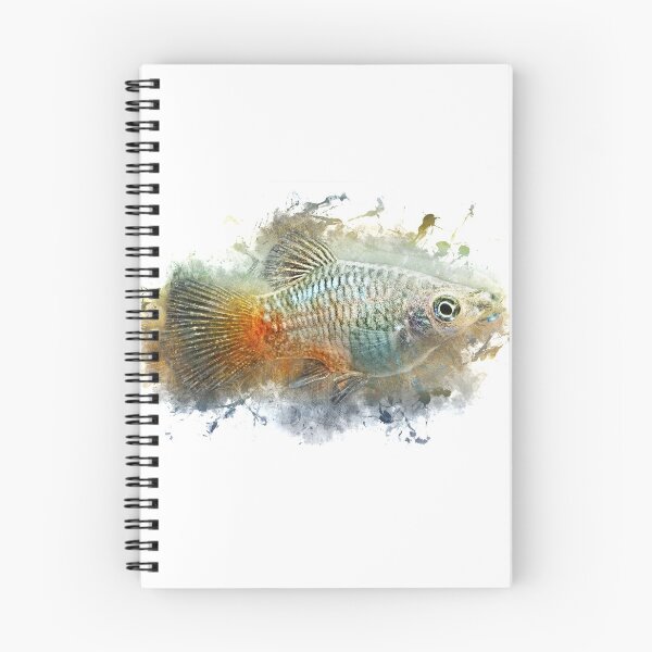 Item preview, Blue Platy - Xiphophorus maculatus designed and sold by AquariumLutter.