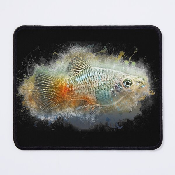 Item preview, Blue Platy - Xiphophorus maculatus designed and sold by AquariumLutter.