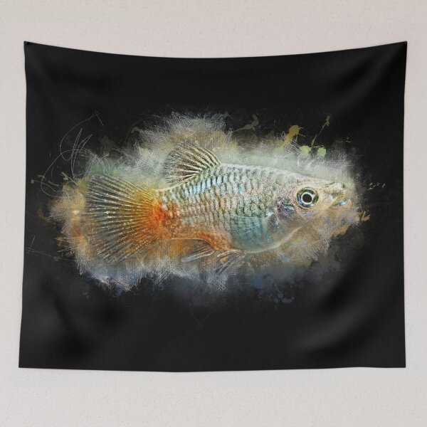Item preview, Blue Platy - Xiphophorus maculatus designed and sold by AquariumLutter.