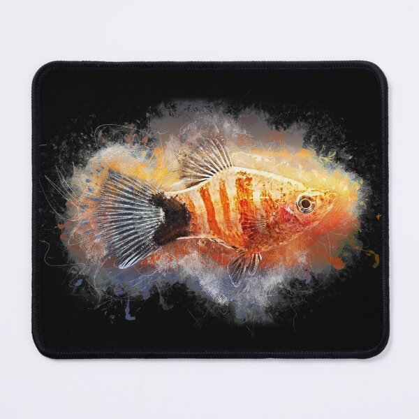 Item preview, Platy Bleeding Heart - Xiphophorus maculatus designed and sold by AquariumLutter.