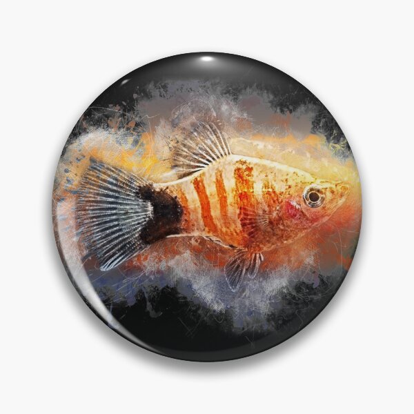 Item preview, Platy Bleeding Heart - Xiphophorus maculatus designed and sold by AquariumLutter.