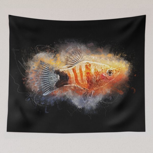 Item preview, Platy Bleeding Heart - Xiphophorus maculatus designed and sold by AquariumLutter.