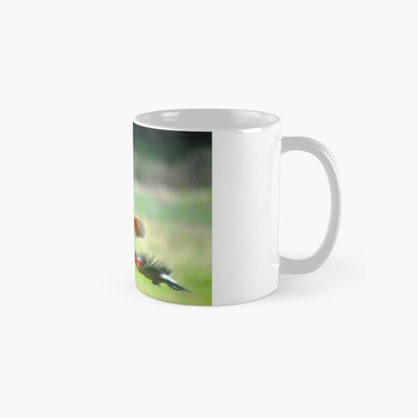 Diversity Classic Mug
