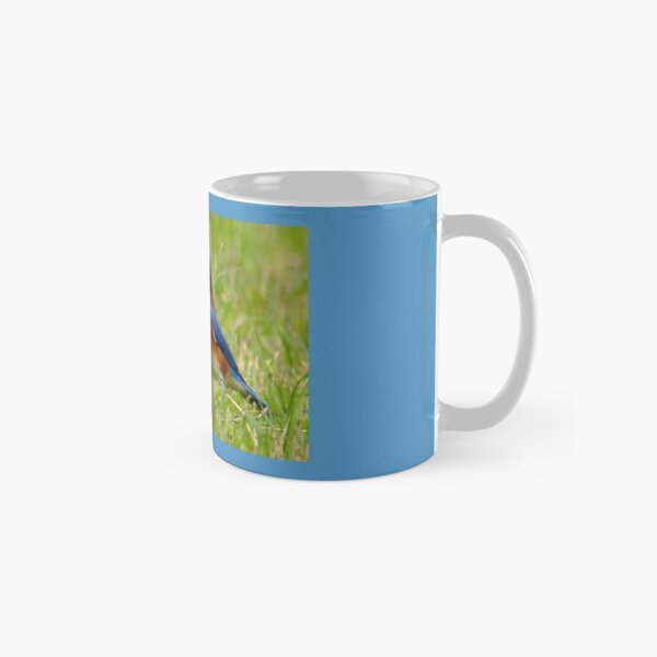 Eastern Bluebird Classic Mug