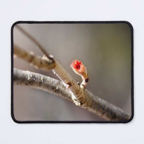 Item preview, Early spring designed and sold by Shoshina.