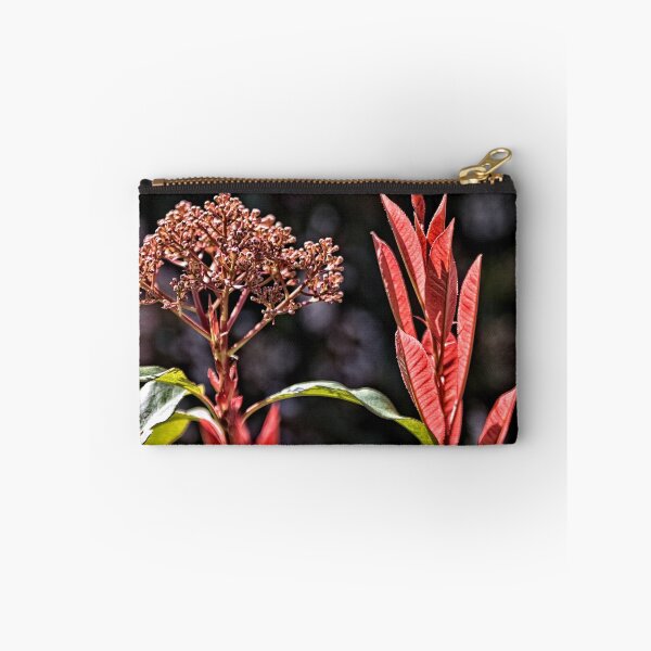 Item preview, Red Foliage and Seeds designed and sold by Wolf Sverak Photography.