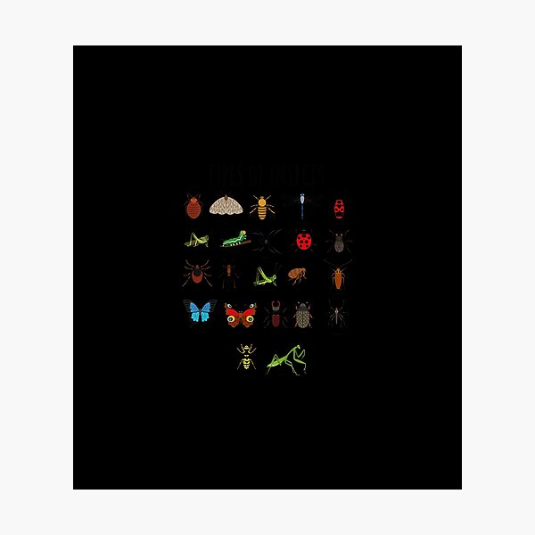 Item preview, Kids Types Of Insects Bug Identification Science designed and sold by Chanielshian.