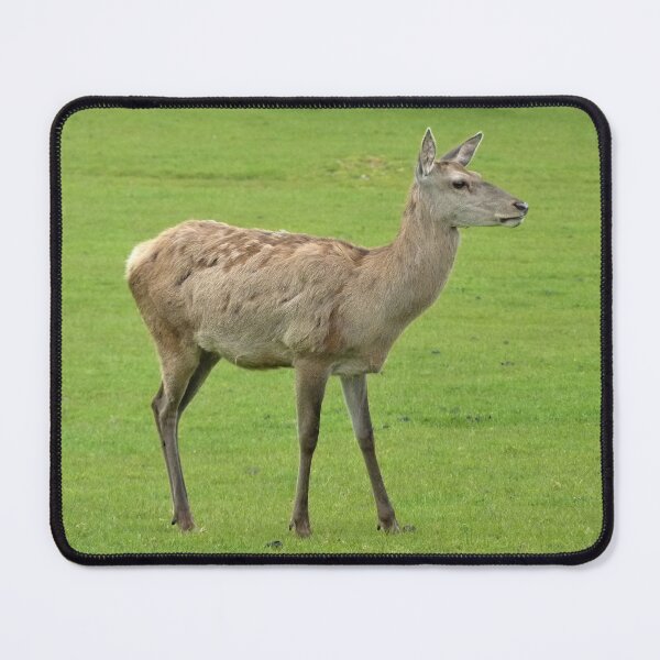 Item preview, Friendly Deer designed and sold by Fearless-Fox.
