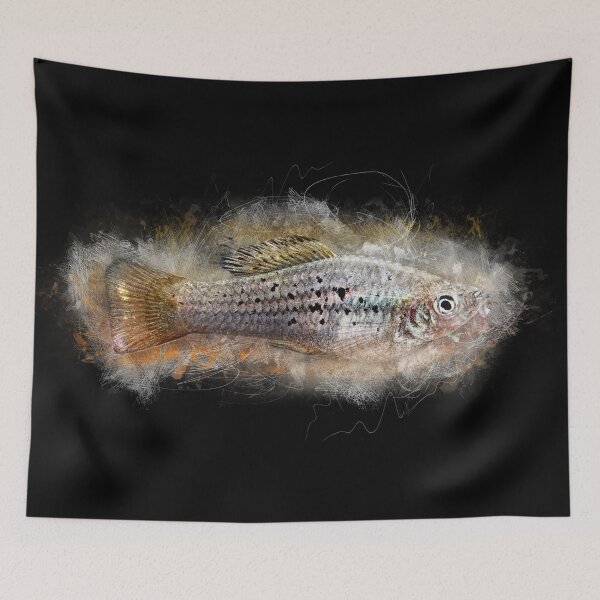 Item preview, Parrot platy La Laguna - Xiphophorus maculatus designed and sold by AquariumLutter.