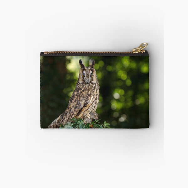 Item preview, Long Eared Owl with Friend designed and sold by FXST.