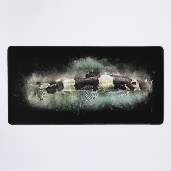 Item preview, Panda loach - Protomyzon pachychilus designed and sold by AquariumLutter.