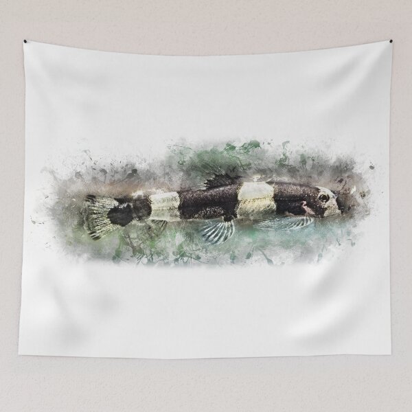 Item preview, Panda loach - Protomyzon pachychilus designed and sold by AquariumLutter.