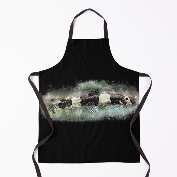 Item preview, Panda loach - Protomyzon pachychilus designed and sold by AquariumLutter.