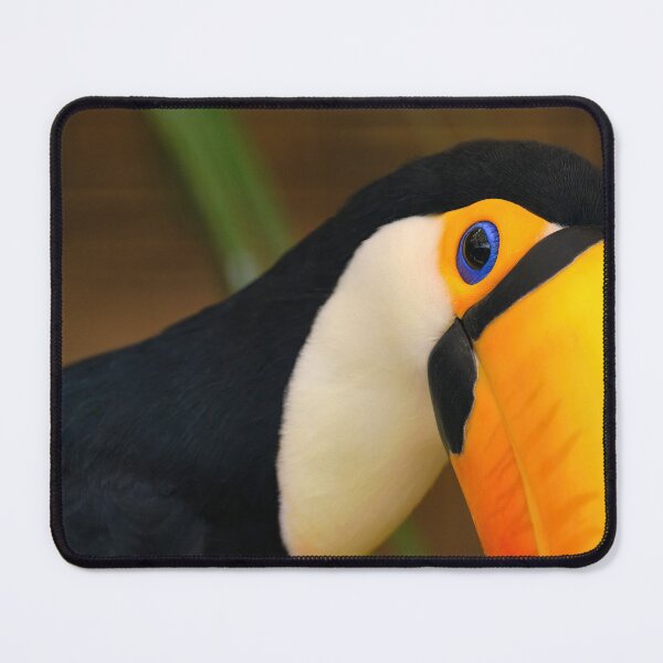Item preview, Pretty toco designed and sold by Kiran-Fine-Art.