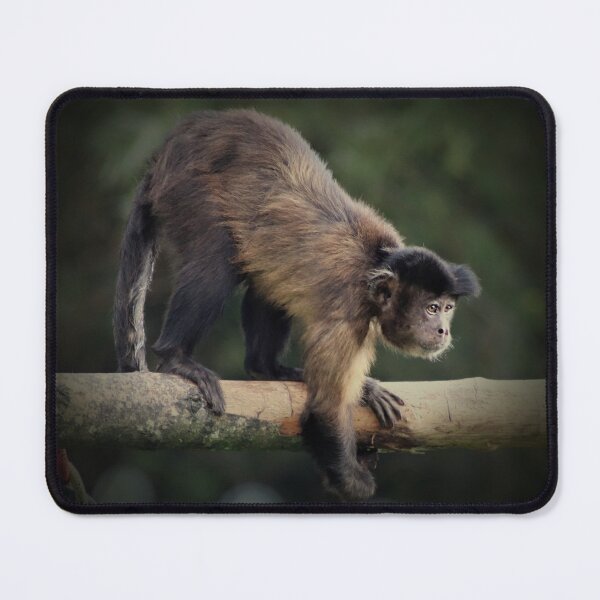 Item preview, Brown Capuchin designed and sold by Ladymoose.
