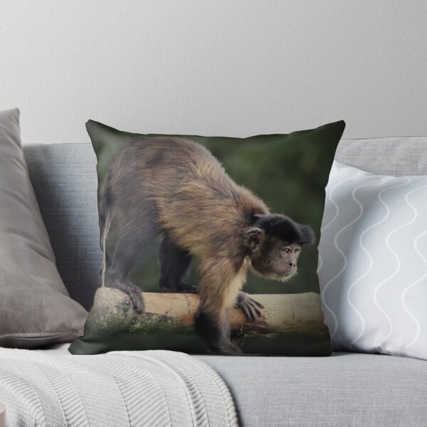 Item preview, Brown Capuchin designed and sold by Ladymoose.