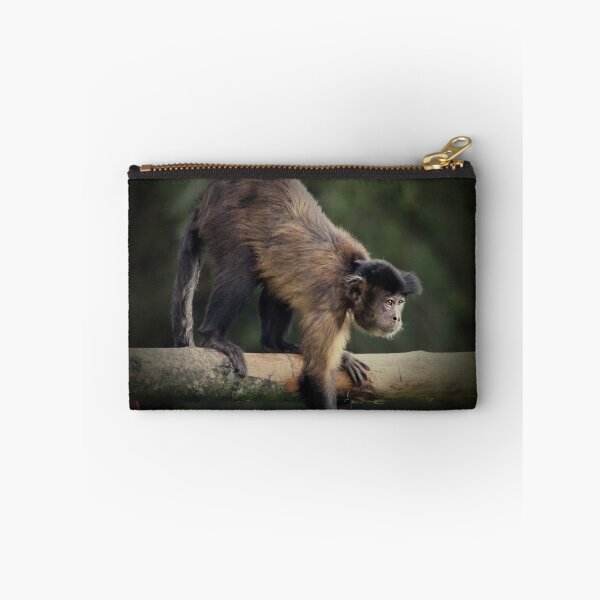 Item preview, Brown Capuchin designed and sold by Ladymoose.