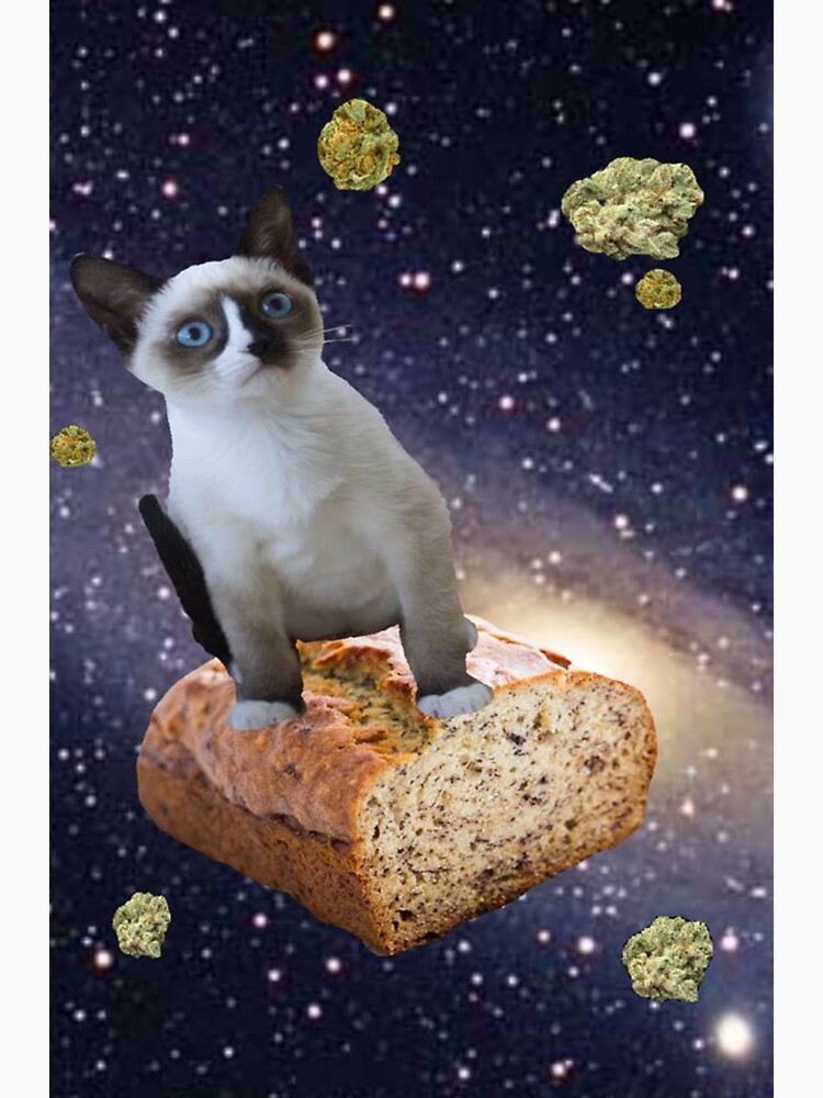 "banana bread cat" Sticker by tacoelgato Redbubble
