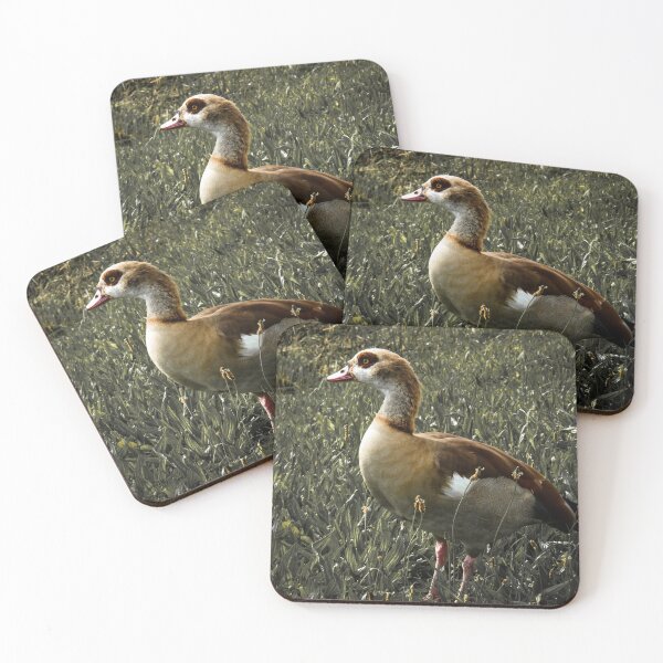 Item preview, Egyptian goose with green faded out designed and sold by Ann Biddlecombe.