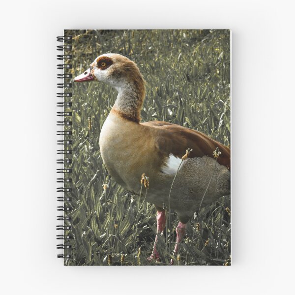 Item preview, Egyptian goose with green faded out designed and sold by Ann Biddlecombe.