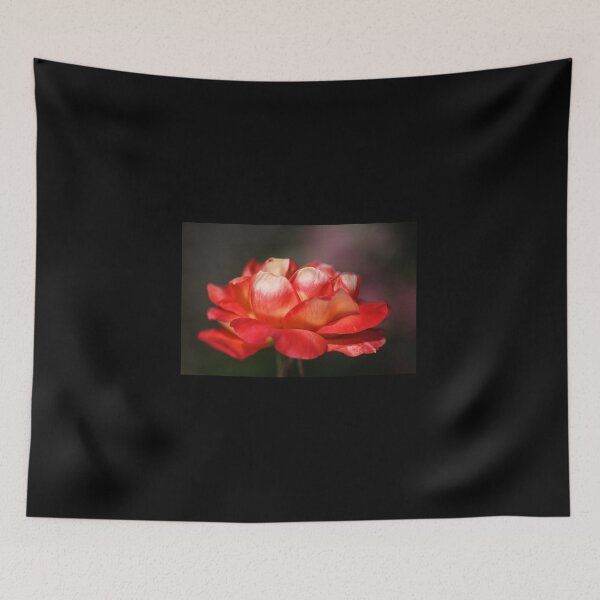 Item preview, Single Rose designed and sold by Joy Watson - Natural Light Photography .