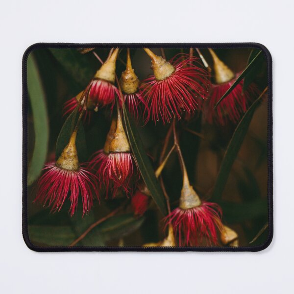 Item preview, Crimson Ballerinas designed and sold by Basia McAuley.