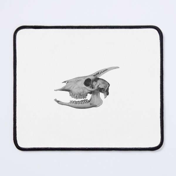 Item preview, Mammal Skull 1868-1874 designed and sold by BelleZeare.