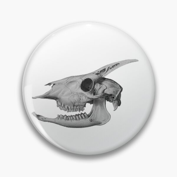 Item preview, Mammal Skull 1868-1874 designed and sold by BelleZeare.