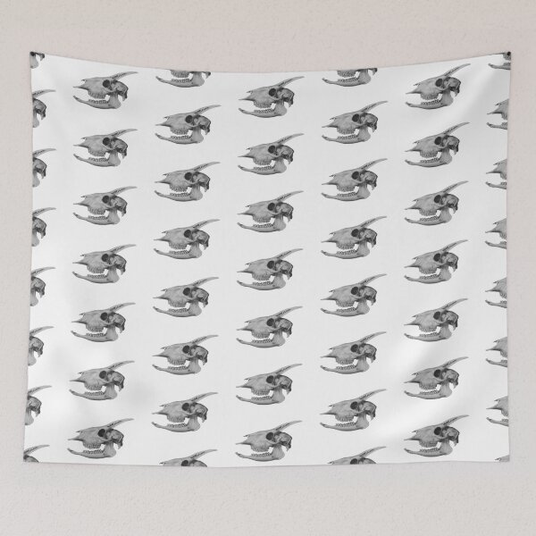 Item preview, Mammal Skull 1868-1874 designed and sold by BelleZeare.