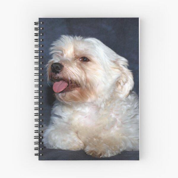 Item preview, DREW designed and sold by W E NIXON  PHOTOGRAPHY.