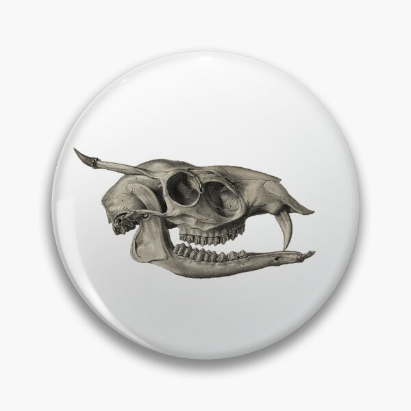 Item preview, Mammal Skull 1868-1874 designed and sold by BelleZeare.
