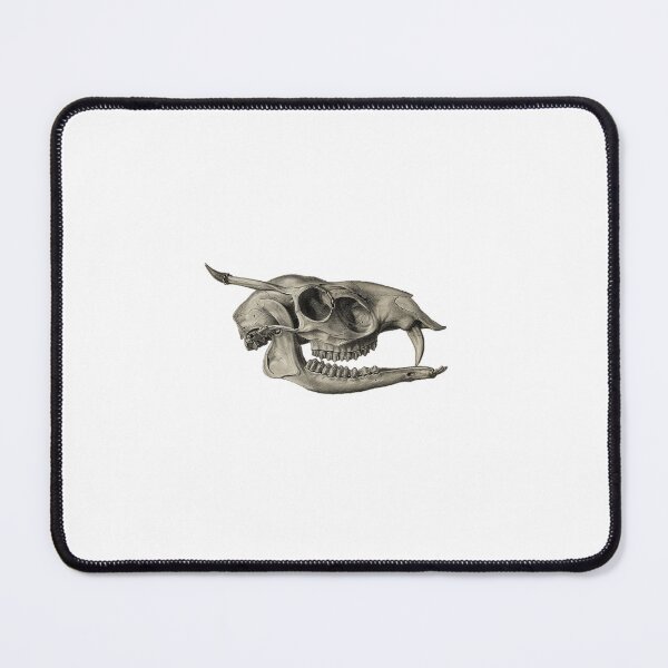 Item preview, Mammal Skull 1868-1874 designed and sold by BelleZeare.