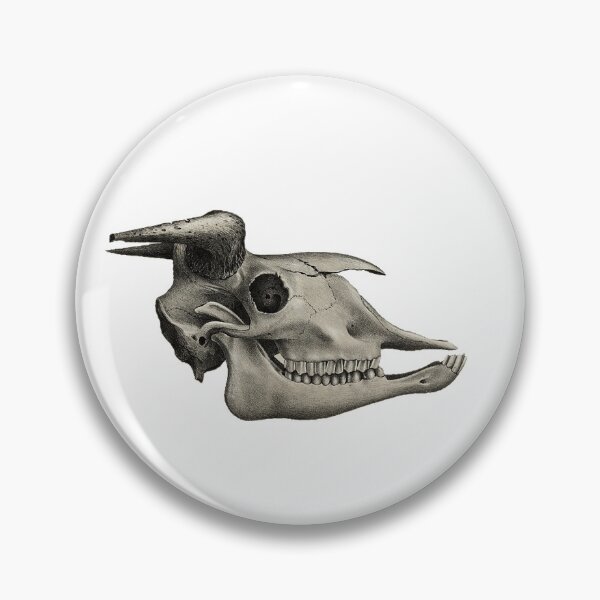 Item preview, Mammal Skull 1868-1874 designed and sold by BelleZeare.