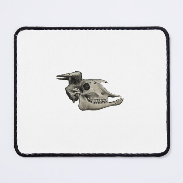 Item preview, Mammal Skull 1868-1874 designed and sold by BelleZeare.