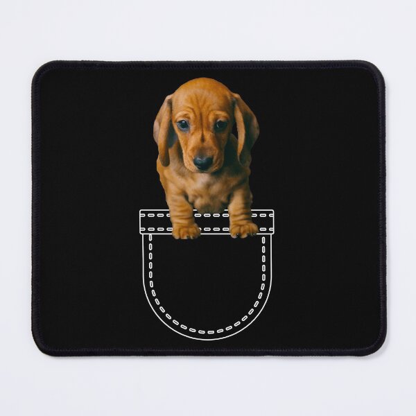 Item preview, Puppy in a pocket. Dachshund puppy in a pocket. Funny, cute photo and line drawing pocket designed and sold by JellyBeenzz.
