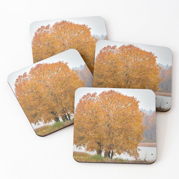 Item preview, A tree for the birds designed and sold by Jouko Lehto Photography.