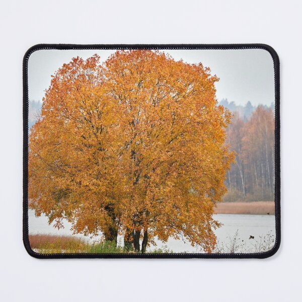Item preview, A tree for the birds designed and sold by Jouko Lehto Photography.
