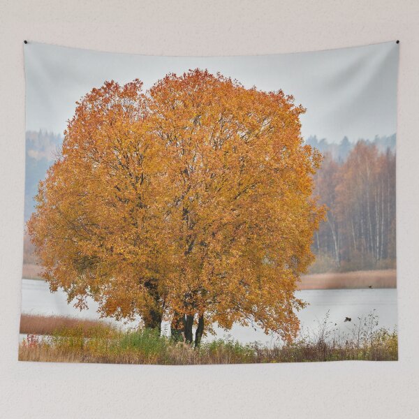 Item preview, A tree for the birds designed and sold by Jouko Lehto Photography.