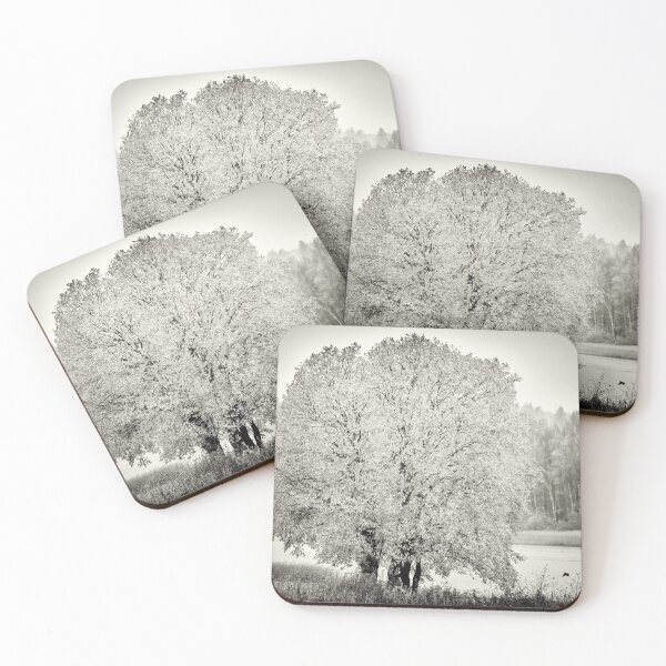 Item preview, A tree for the birds bw designed and sold by Jouko Lehto Photography.