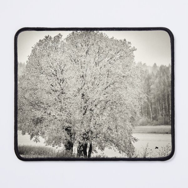 Item preview, A tree for the birds bw designed and sold by Jouko Lehto Photography.